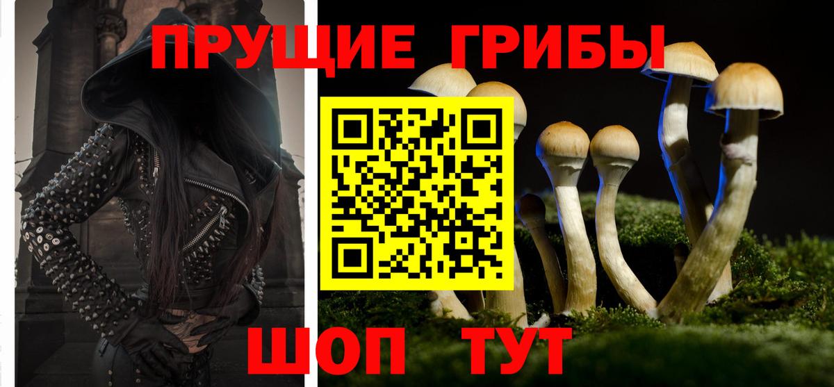 цены наркотик  Вход с VPN  Городец  Псилоцибиновые грибы мицелий  Галлюциногенные грибы MAGIC MUSHROOMS 